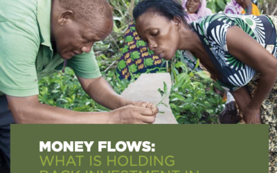 Money Flows: What is Holding Back Investment in Agroecological Research for Africa?