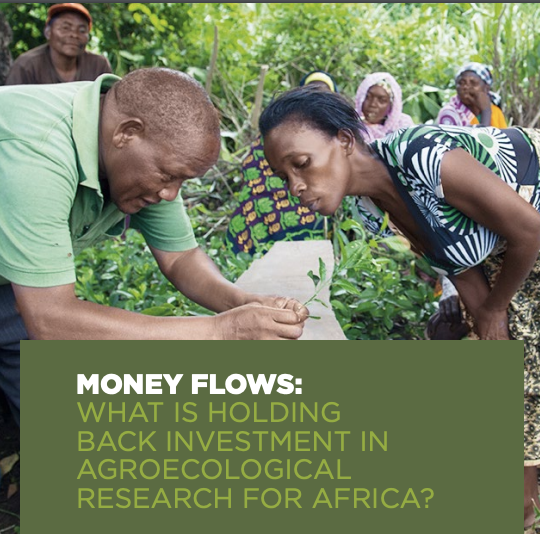 Money Flows: What is Holding Back Investment in Agroecological Research for Africa?