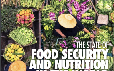 The State of Food Security and Nutrition in the World 2020: Transforming Food Systems for Affordable Healthy Diets