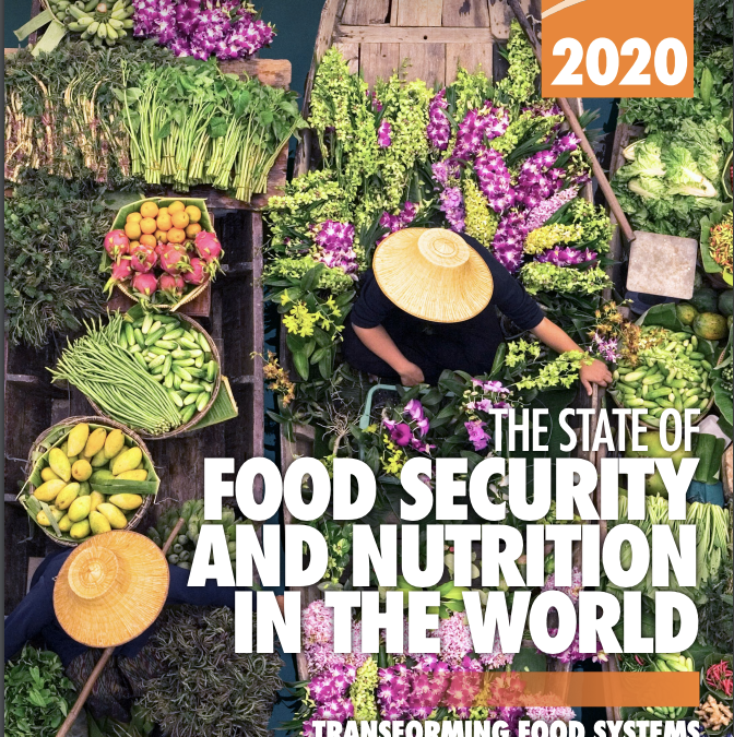 The State of Food Security and Nutrition in the World 2020: Transforming Food Systems for Affordable Healthy Diets