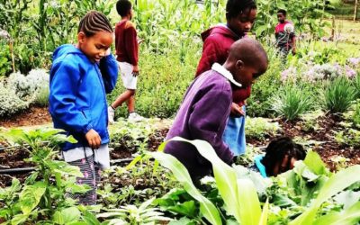 In the Vegetable Garden with Naledi